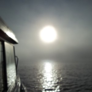 07/09/2011...beautiful foggy morning,heading down river to do some salmon fishing.