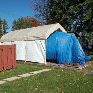 21/10/2011....all bundled up for the winter, need a bigger shelter.