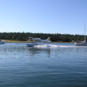 Fisherman's Bay, Lopez Island.  Amazing to see these guys take off & land amongst so many boats.  Wonder what the rules are re: this?