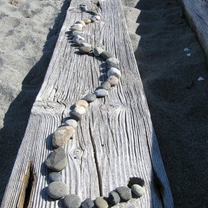 Fisherman's Bay, Lopez Island.