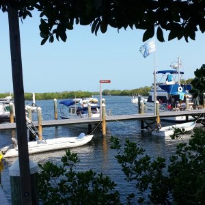 Media '2015-03-26 Docked at John Pennekamp State Park Marina' in album '2015-02-23 Florida bound'