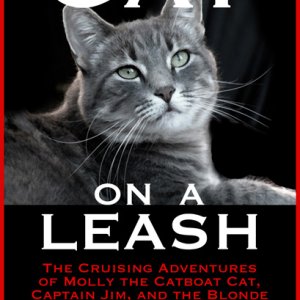 Latest cover design

?2010 James Bathurst