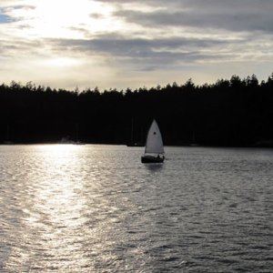 nice evening from the whale watch boat