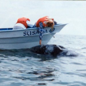JoanWhale