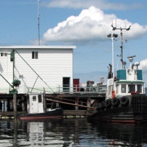 Jones Service in Chemainus... good folks