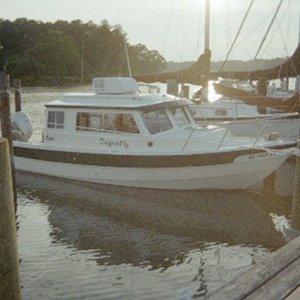 Dragonfly at Chesapeake 07