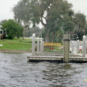 Welaka Landing Florida
On a side note. I tell you Elvis LIVES here ! We saw him fishing off that dock !