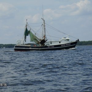 Anna Marie 
Shrimp Boat