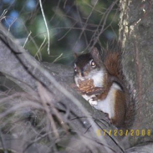 Our little friend near us