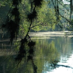 Suwanee River