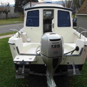 8-cd25 stern b