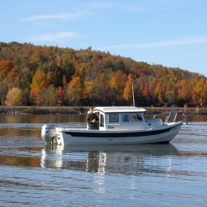 Dave and Pam's "Generic"