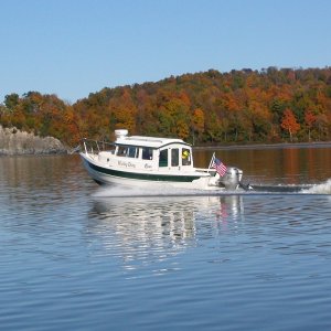 Another Hunky Dory in Flight