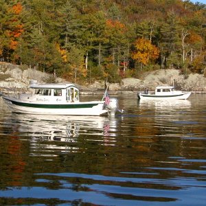 The "pack" in partridge Cove