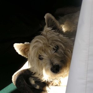 (BlackNorth) Mixie on \"L F or D\"