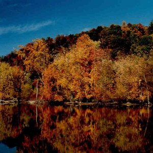 (Rick from Maine) Champlain Foliage