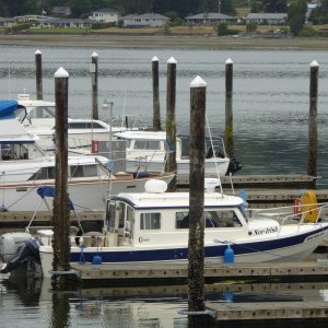 Lots of space at the visitor dock on a Saturday afternoon in August