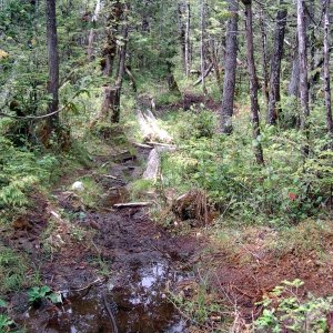 trail to Sagar Lake