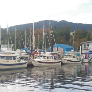 IMGP1767