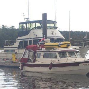 IMGP1768