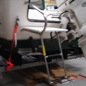New Swim platform with ladder