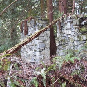 Still a lot of wall remaining out in the woods.