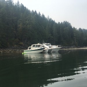 IMG 3593