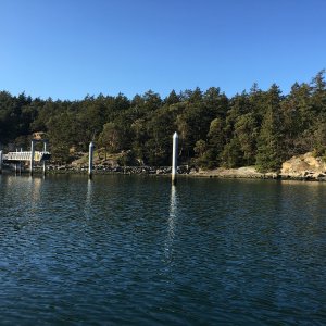 Other dock not yet placed