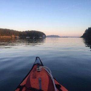 Paddling around the bay