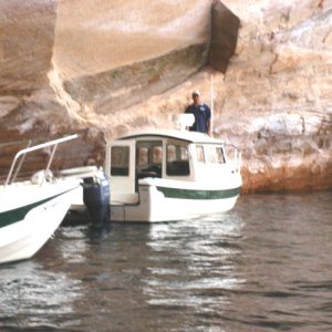 (SEA3PO) Rana Verde