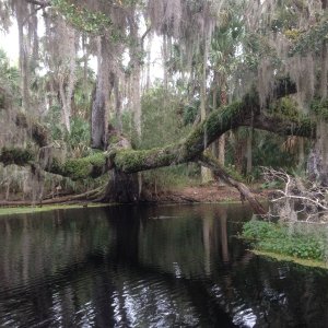 Love this spot on Snake Creek