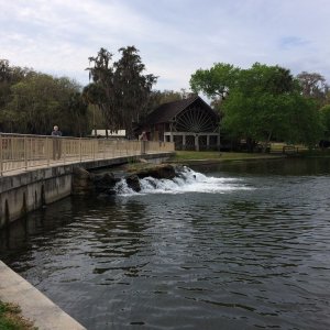 Very rare Florida waterfall, 19 million gallons a day