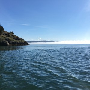 Hope Island still in fog
