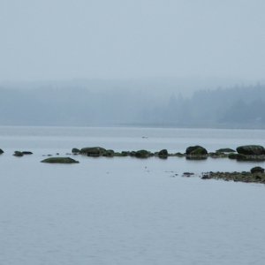 Boating in the Rain