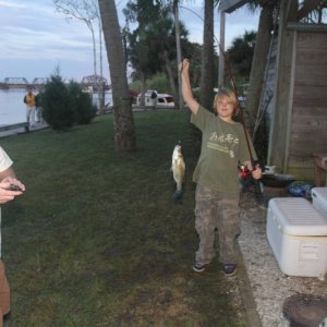 IMG 0178 Fresh bass