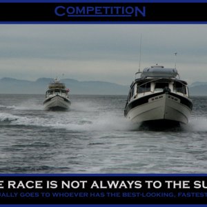 Competition
