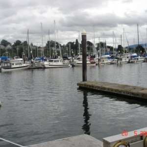 Another view of P Dock