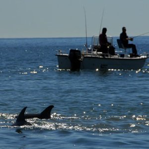 fishing and dolphin watching