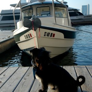 North Cove Marina, NY Harbor