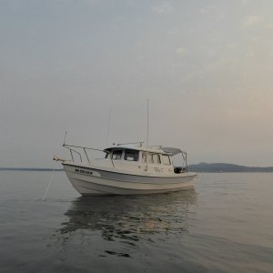 Found a nice anchorage just 5 nm from the marina. And no other boats!