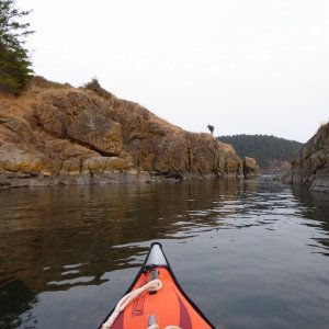 Paddling around Dot Island