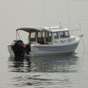 Depth here was about 5.5 ft when I awoke at low tide (+1).