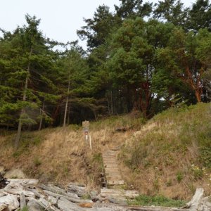 Steps leading from the south beach up to the island