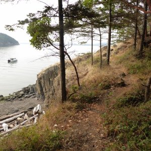 Trail above the south cove