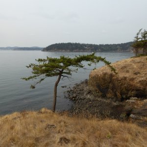 Looking southwest towards Guemes and Anacortes