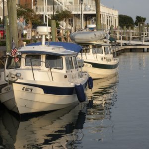 Alma's Only and Valkyrie at Beaufort, NC