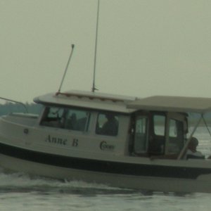 Treasure Hunt / Anne B on the move