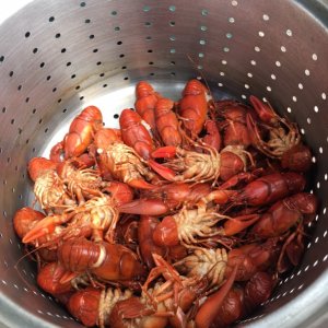 Dinner