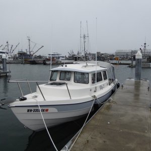 Awoke Sunday morning to snow blowing sideways and howling winds.