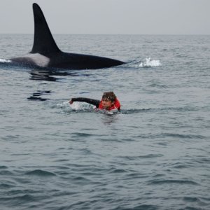 swim jonah swim2